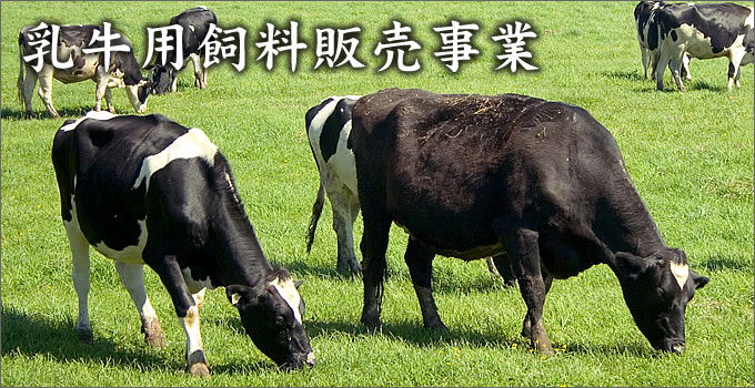 乳牛用飼料販売事業